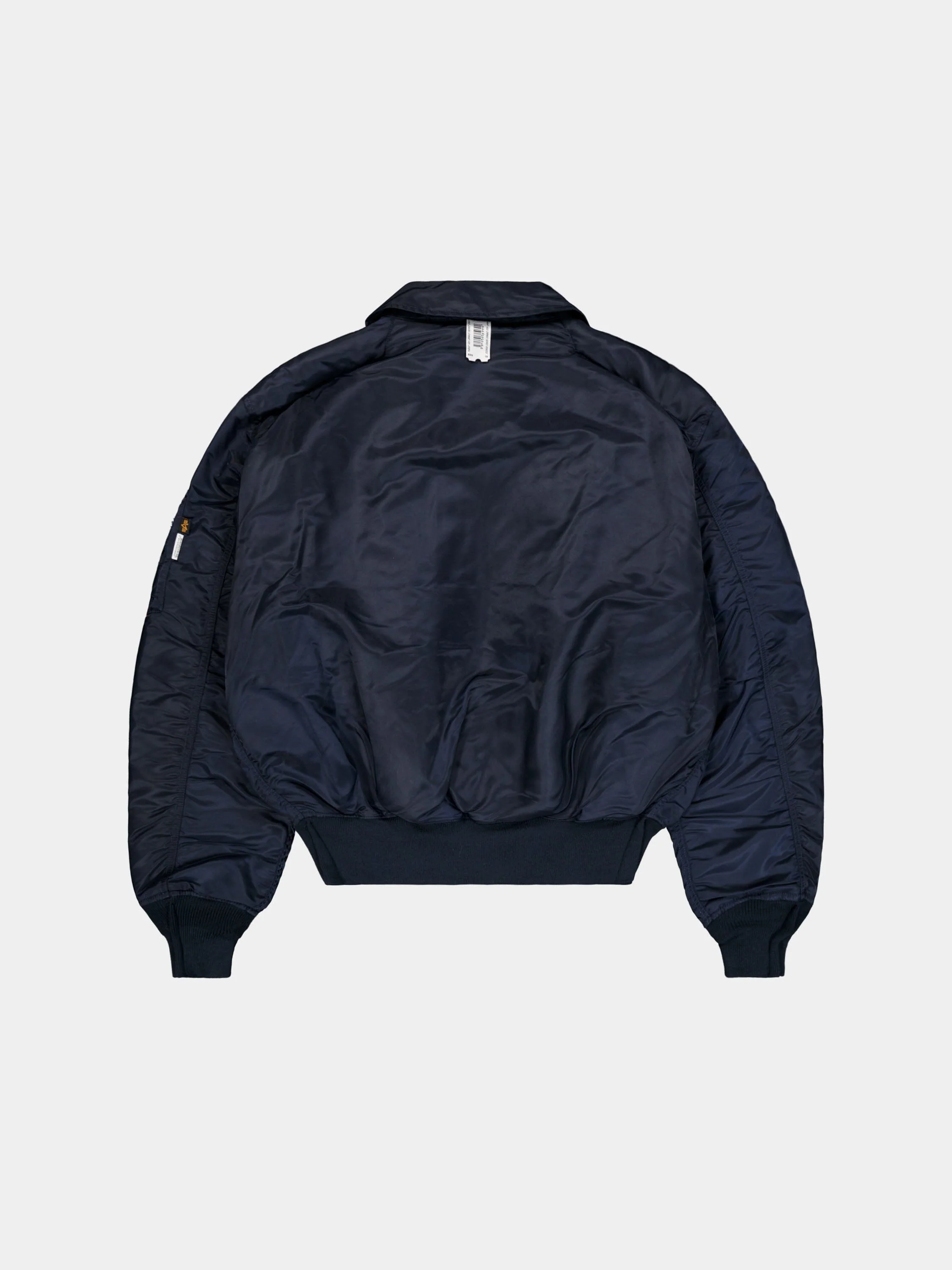 PROTOTYPES X ALPHA CWU-45 OUTLINE BOMBER - Image 3